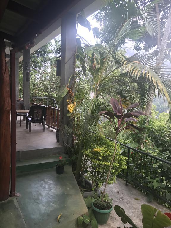 Raveena Guest House Ella Buitenkant foto