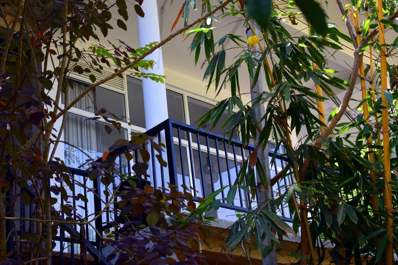 Raveena Guest House Ella Buitenkant foto